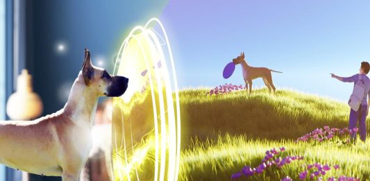 امکان انتقال حیوانات خانگی از دنیای واقعی به متاورس فراهم میشود