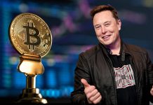 تسلا از سرمایهگذاری در بیت کوین ۱۰۱ میلیون دلار ضرر کرده است