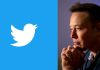 ایلان ماسک: توییتر بلو احتمالاً هفته آینده دوباره در دسترس قرار میگیرد