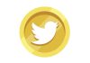 توییتر کوین در راه است؟