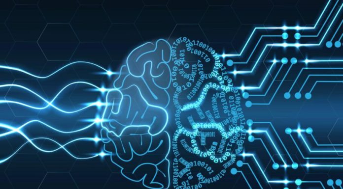 هوش مصنوعی میتواند از روی اسکن مغز چیزی را که میبینید شبیهسازی کند