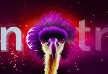 Nostr چیست و چرا جک دورسی به آن علاقه زیادی دارد؟