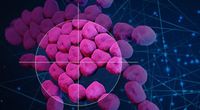 دستاورد دیگری از هوش مصنوعی: شناسایی آنتیبیوتیکی که با عفونتهای مقاوم به دارو مبارزه میکند