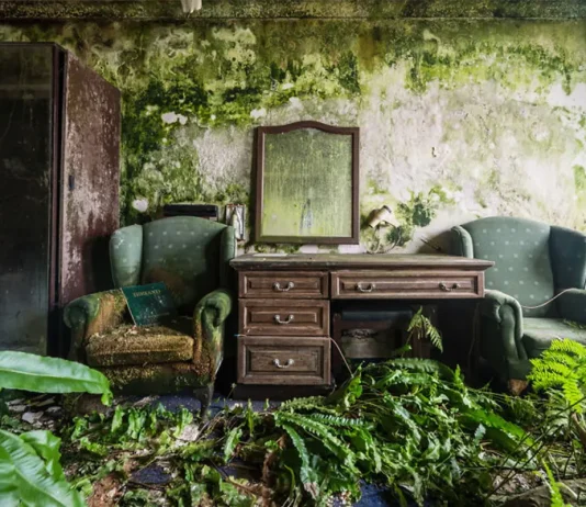 تصاویر آخرالزمانی از هتل متروکهای که طبیعت آن را پس گرفته است