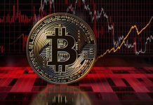 تعداد کیفپولهای دارای بیتکوینی که در پنج سال گذشته غیرفعال بودهاند، به بالاترین حد خود رسید