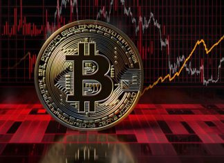 تعداد کیفپولهای دارای بیتکوینی که در پنج سال گذشته غیرفعال بودهاند، به بالاترین حد خود رسید