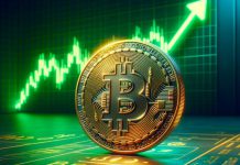 قیمت بیت کوین به بالاترین حد خود در سال جاری میلادی رسید؛ بیشتر از 38000 دلار