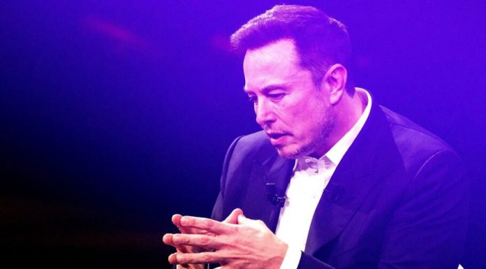 ایلان ماسک: احتمال نابودی بشر توسط هوش مصنوعی 10 تا 20 درصد است