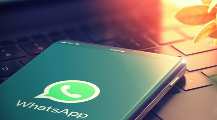 واتساپ روی فیلتر جدید Favorites برای دستهبندی چتها کار میکند