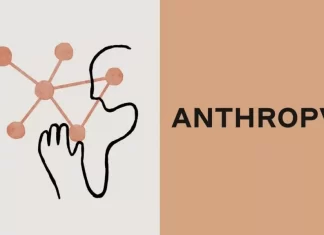 آنتروپیک پروتکل جدیدی برای اتصال دادهها به ابزارهای هوش مصنوعی معرفی کرد